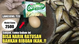 AUTO PANEN❗RACIKAN UMPAN MANCING WADER PALING AMPUH DAN SIMPLE PAKE GO POTATO + TELUR - UMPAN JITU