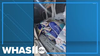 Kentucky Humane Society rescues animals from flooded areas