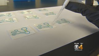 Researchers At CSU Take On Counterfeit Antiobiotics With New Test