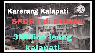 3 Million Halaga ng isang kalapati