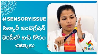 #SensoryIssue - సెన్సారీ  ఇంటెగ్రేషన్  థెరపీలో టచ్  కోసం చిట్కాలు | Pinnacle Blooms Network