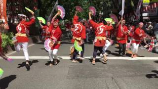 2016第32回仙台青葉まつり定禅寺通り流しPart1まつりめごひめ［本祭り］