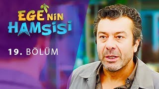 Ege'nin Hamsisi 19. Bölüm