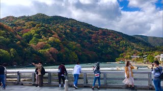 【秋の京都嵐山】 紅葉の季節 天龍寺境内から渡月橋の風景🍁2019年11月12日(火) 🌟Autumn in Arashiyama✨ 岚山【4K】