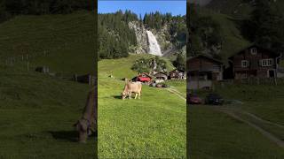 Switzerland wonderful view ❤️#switzerland #viralvideo #viralshorts #shorts #reels #views