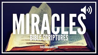 Bible Verses For Miracles | What Does The Bible Say About Miracles