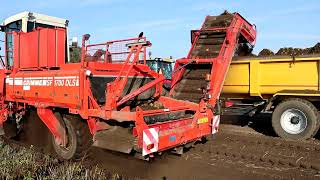 Grimme SF 1700 DLS, MF 7722 - USA 20000, MF S 5713.