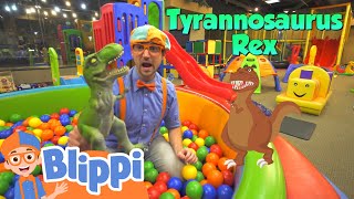 Blippi Visits an Indoor Playground | Learning Videos For Kids | Education Show For Toddlers