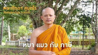 หมา แมว กับภาษี โดย พระศักดา สุนฺทโร