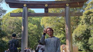 My Japan's Trip (Chapter 4: Life Full of Light) - Meiji Jingu Shrine, Teamlab Planet, Shinjuku