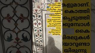 പ്രണയത്തിൻ്റെ പ്രതീകം🤍 ഒരുപാട് പേരുടെ കഷ്ടപ്പാടിൻ്റെ പ്രതീകം..Tajmahal #tajmahal #goldentriangle