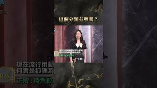 這個分類有準嗎？【#全民星攻略】#曾國城 #蔡尚樺 #shorts