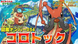 【ポケモン3分講座】パルデア図鑑No34 コロトック・コロボーシ【ポケモンSV】