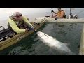 Kayak Fishing : THAT IS A HUGE FISH !! Pensacola, Florida