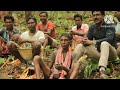 अमेज़न जंगल। documentary on amazon jungle।the largest forest in the world। forest jangal world ।