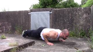 Day 1: 22 Pushups for #22kill