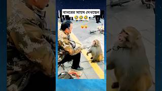 বানরের সাহস দেখছেন কত বড় 🤣।। #shorts #funnyvideo #monkey #funnymonkey #viralshorts #viralvideo