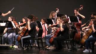 Colgan Philharmonic Orchestra Pre Assessment March 2020