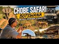 Chobe Safari in Botswana 🇧🇼 | Lions, Elephants & Luxury Lunch!