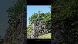 天空の城「竹田城跡」登城動画🏯