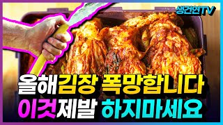 올해 김장 폭망 '이것' 제발 하지마세요! | 김치에서 이상한 냄새 쓴맛 군내가 나는 이유