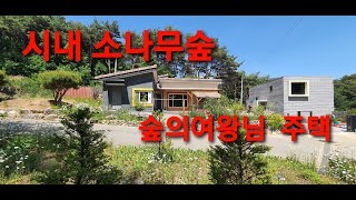 당진전원주택매매  0603   급매   시내권 솔향기주택 대지177평  건평 30평  가격인하 함니다