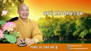 Thich Tri Hue (Audio):  Ngũ căn ngũ lực - Thầy Thích Trí Huệ 2016 - Thầy Thích Trí Huệ 2016