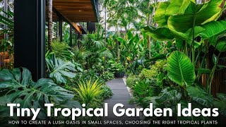 Tiny Tropical Garden Ideas: How to Create a Lush Oasis in Small Spaces