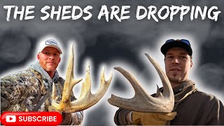 The Sheds Are Dropping | Outdoor X Media | Shed Rally 2025 |