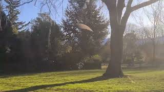 Christchurch Farmers Market and Lake Tekapo walkway