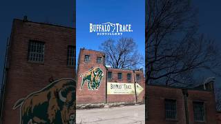 [🇺🇸미국일상] 버팔로 트레이스 증류소 투어 #BuffaloTraceDistillery #Bourbon #Whiskey #Kentucky #shorts