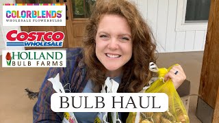 Fall Bulb Haul | Costco \u0026 Color Blends