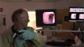 Using a Bronchial Scope for a Bronchoscopy at Christian Hospital in St. Louis, Missouri