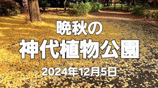 🍁晩秋の神代植物公園(2024年12月5日)