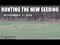 Rifle Hunting The New Seeding