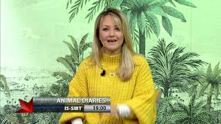 PROMO COVID-19 u l-annimali - Animal Diaries - TVM