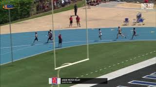 2018 IHSA Boys 3A 4x800m relay Finals