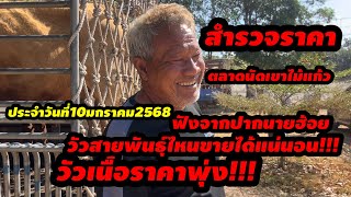 Ep.25 สำรวจราคาตลาดนัดโคกระบือเขาไม้แก้ว ราคาโคเนื้อพุ่ง สายพันธุ์ที่ตลาดต้องการมีเท่าไรก็ไม่พอขาย