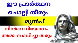 നിൻറെ നിയോഗം അമ്മ സാധിച്ചു തരും l miraculous marian prayer l powerful marian prayer