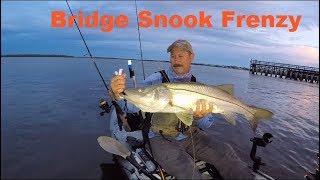 Bridge Snook Frenzy, Kayak Fishing at Night With Flair Hawk Jigs