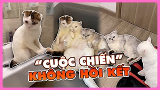 “Cuộc chiến” không hồi kết của May, July \u0026 No | maly.gaugau