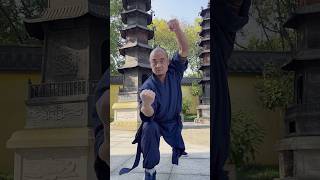 LUOHANQUAN MARTIAL ARTS 罗汉拳 || SHAOLIN KUNGFU FIST #kungfu #kungfu #kickboxing