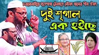 চরমোনাইতে হাতপাখা ঠেকাতে আওয়ামী লীগ-বিএনপি জোট।যা বল্লেন শায়খে চরমোনাই।মুফতী ফয়জুল করিম।BD MEDIA