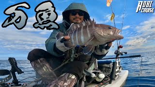 【茨城】１匹１万を超える高級魚連発！#タイラバ #start