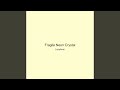 Fragile Neon Crystal