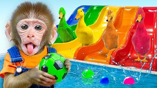 Choco Monkey built a Water Park Challenge with Magic Slide Color for Five Little Duckling and Puppy