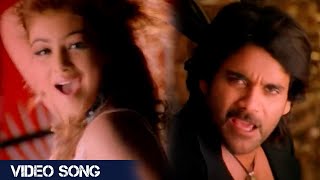 Mudduletti Chedipei Video Song | Super Movie | Nagarjuna, Ayesha Takia, Anushka | Annapurna Studios