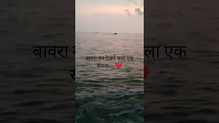 बावरा मन देखने चला एक सपना #shorts #ytshorts #lyrics