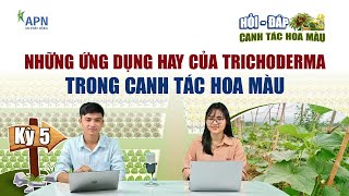 APN - KÍCH KHÁNG, ỨC CHẾ NẤM BỆNH, DIỆT TUYẾN TRÙNG, PHÂN HỦY HỮU CƠ CÙNG TRICHODERMA