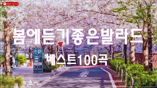 포근한 봄바람과 함께하는 노래 🌸 감미로운 봄 발라드 모음 🌸 사랑을 부르는 로맨틱한 멜로디 🌸 봄 햇살처럼 따뜻한 감성